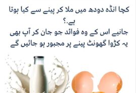 Raw Eggs Benefits For Human Body