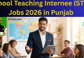 School Teaching Internee (STIs) Jobs 2026 in Punjab